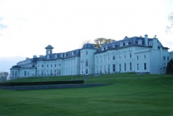 tył hotelu The Kildare, 