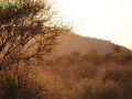 DSC_0396-069
