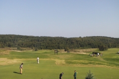 abgc30-bioert99I000117golfpl