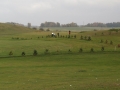 PIC00019