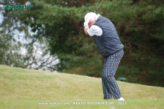 poldz1110golfpl.com_