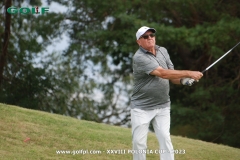 poldz1117golfpl.com_