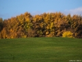 DSC_9796-081